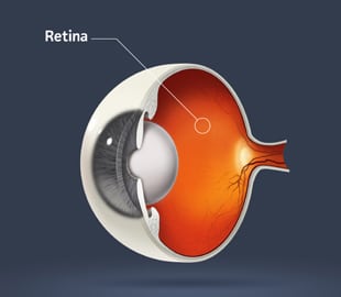 retinal care wakefield ma